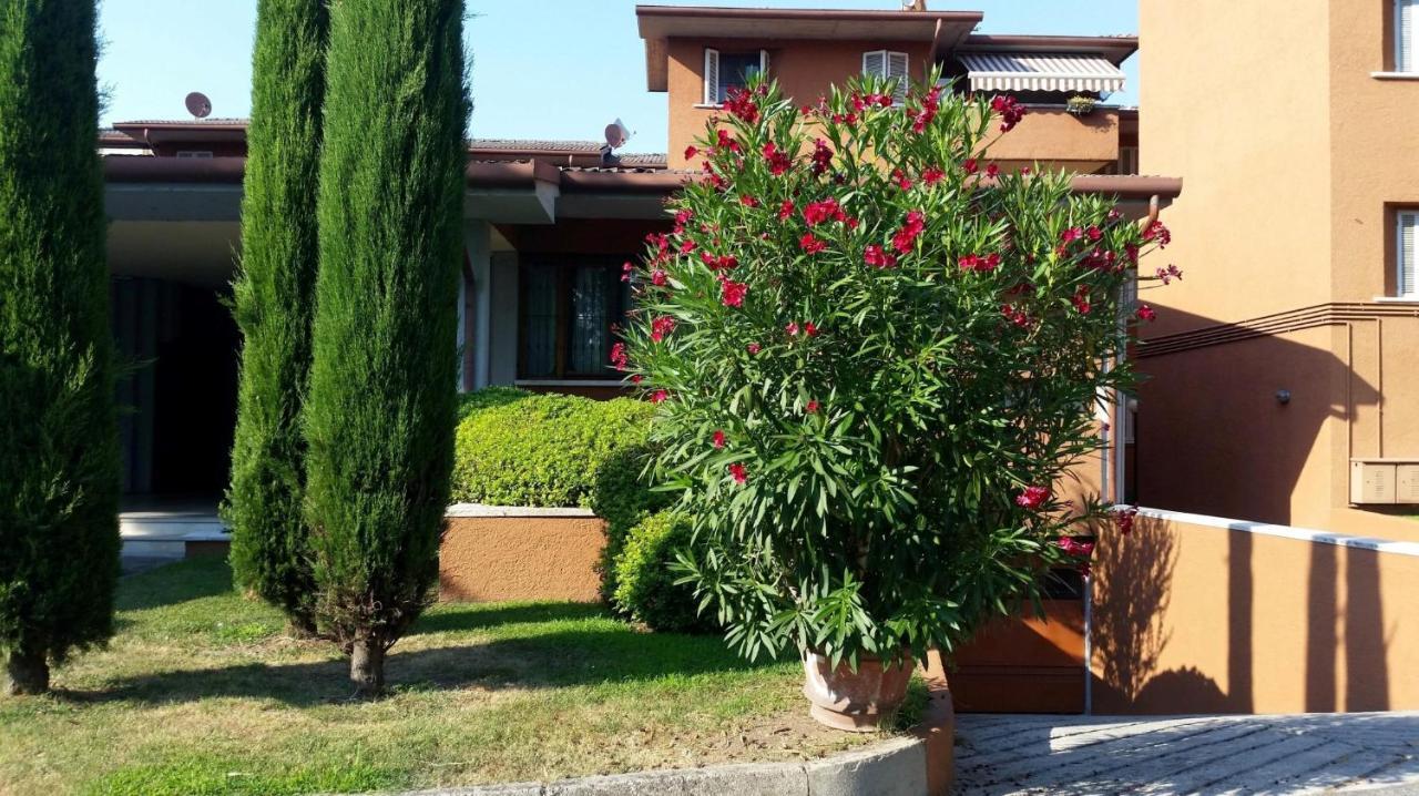Stay-with-us Appartments
